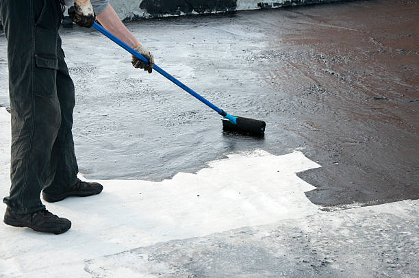 Best Waterproofing & Drywells  in Mulberry, AR